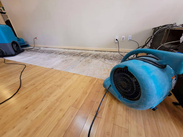 Professional Water Damage Repair technician working in Woolstock, IA